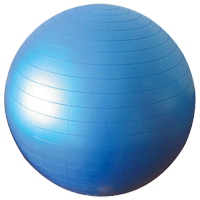 Swiss Ball - Pilates Physio Style